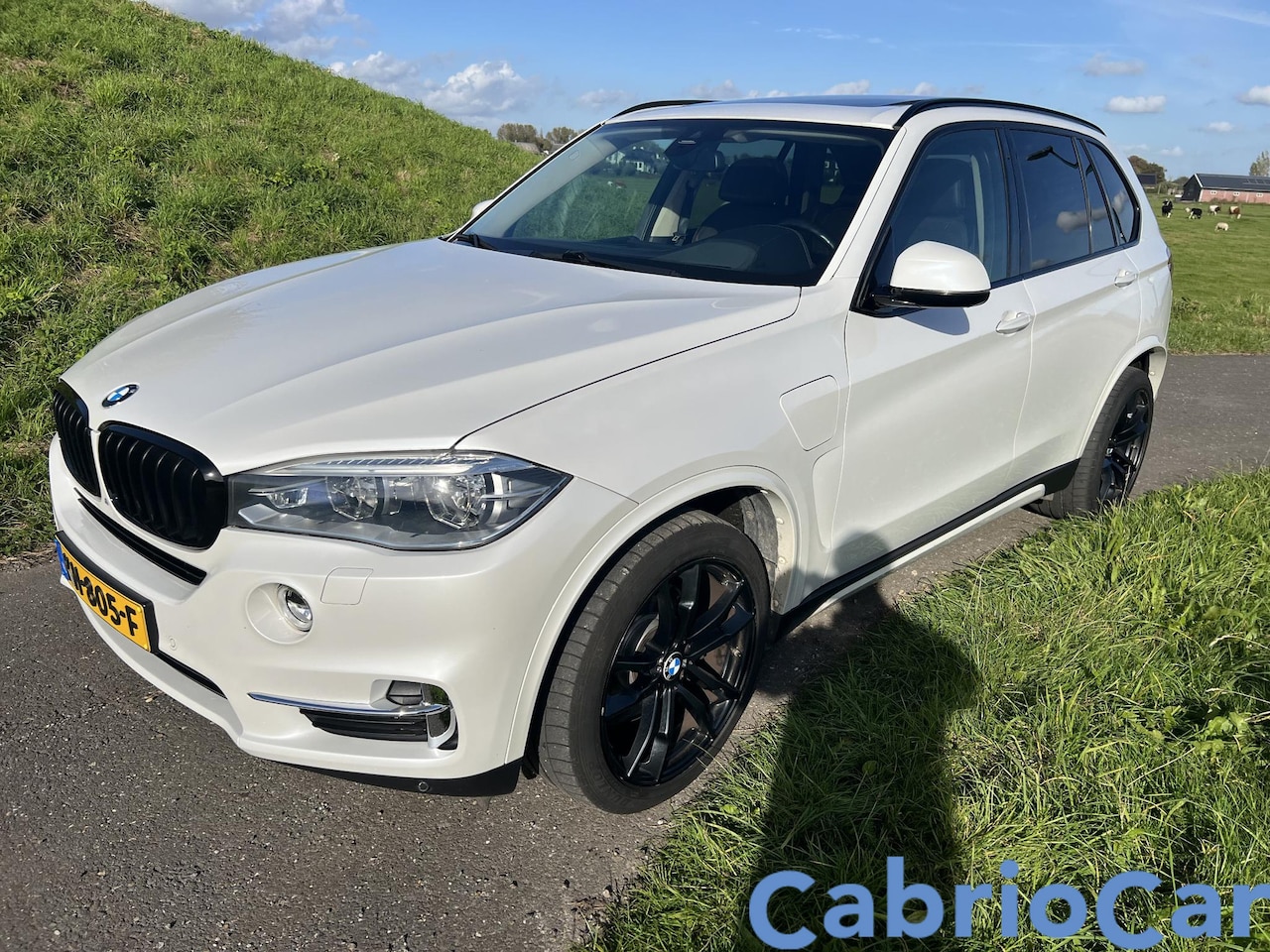 BMW X5 - xDrive 40e High Executive xDrive40e High Executive - AutoWereld.nl