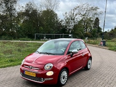 Fiat 500 - 1.2 Lounge Rosso Passione Stoelverwarming Panoramisch dak