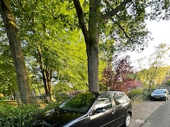 Volkswagen Polo - 1.2 Optive