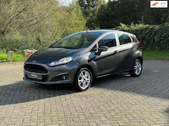 Ford Fiesta - 1.25 Titanium 82PK I UNIEKE KM I 1E EIG. I AIRCO I NWE APK