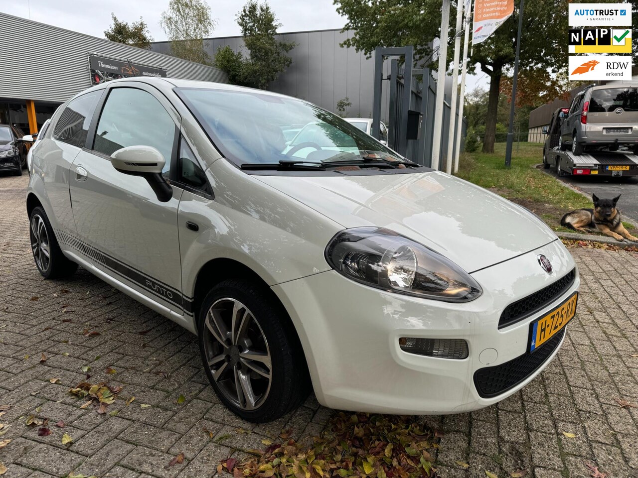 Fiat Punto Evo - 1.2 sport, airco, cruise, elec pakket , alu wielen , navigatie , camera, usb-aux , 111.143 - AutoWereld.nl