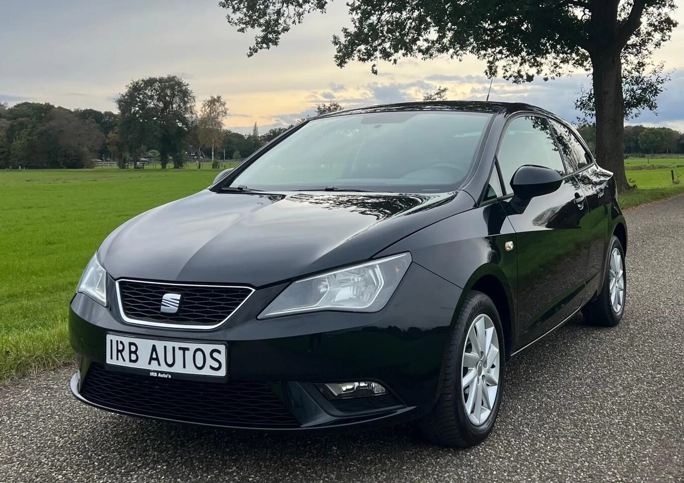 Seat Ibiza - 1.4 - AutoWereld.nl