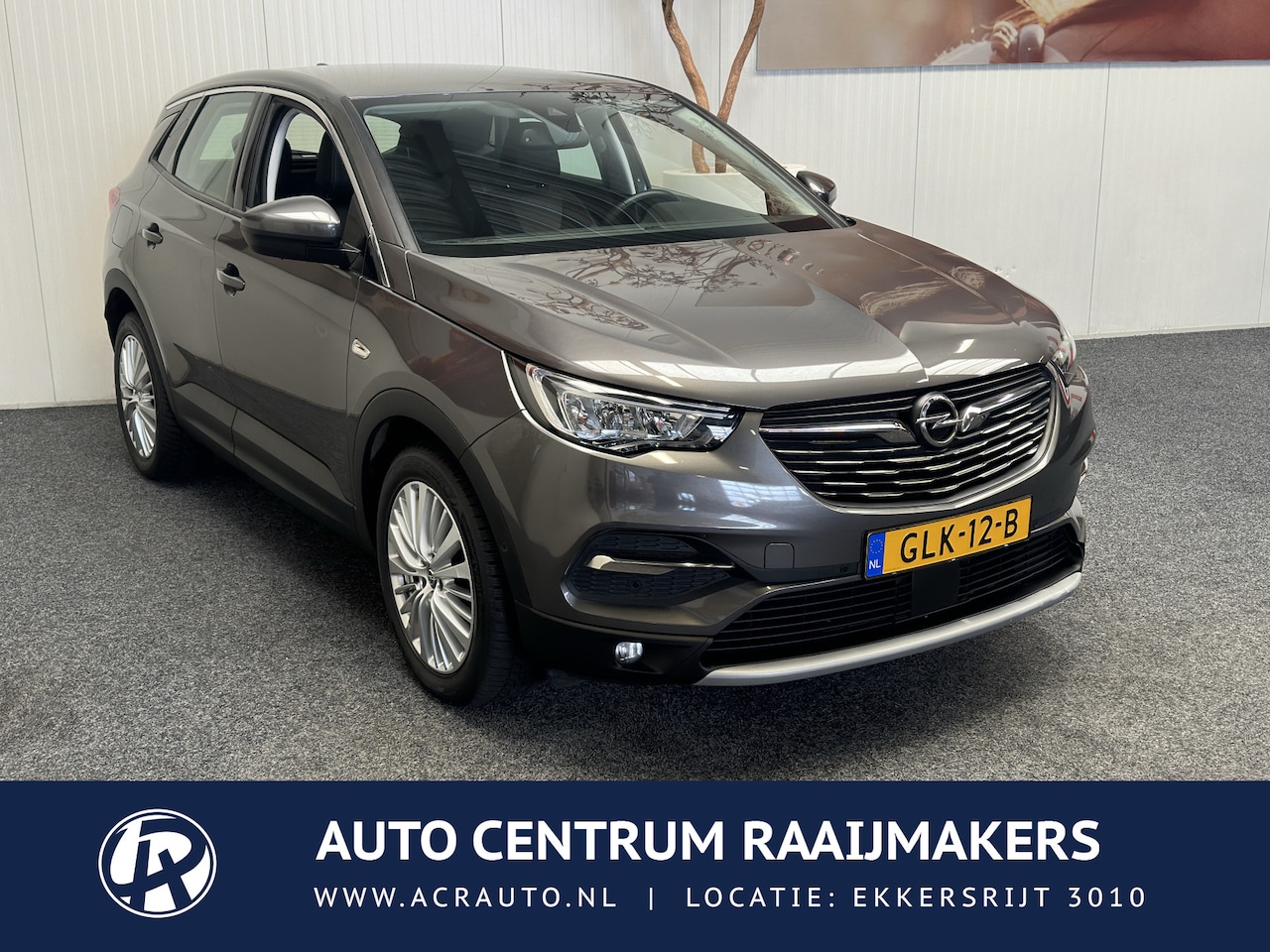 Opel Grandland X - 1.2 Turbo Business Edition 10 op Voorraad NAVIGATIE CRUISE CONTROL APPLE CARPLAY/ANDROID R - AutoWereld.nl