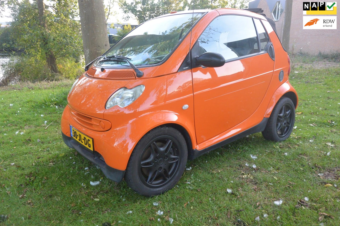 Smart Cabrio - Cabrio & passion voor voetbal*automaat*airco - AutoWereld.nl