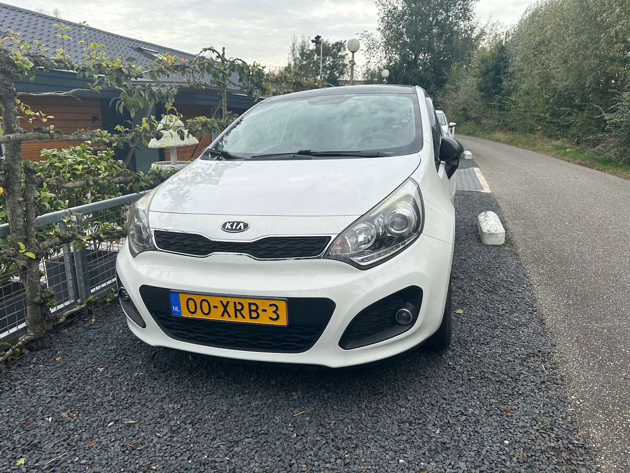 Kia Rio - 1.2 CVVT special edition - AutoWereld.nl