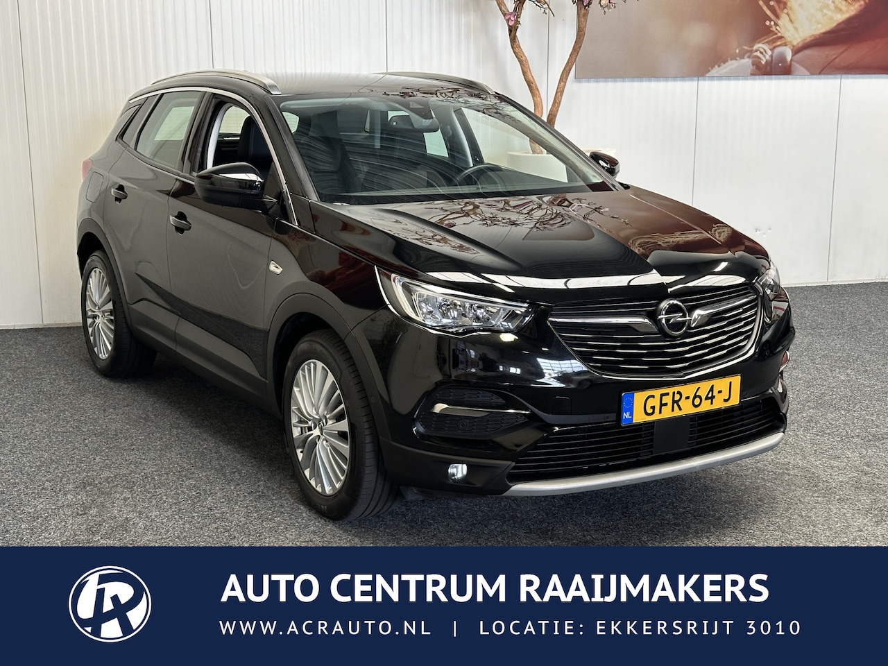 Opel Grandland X - 1.2 Turbo Business Edition 10 op Voorraad NAVIGATIE CRUISE CONTROL APPLE CARPLAY/ANDROID R - AutoWereld.nl