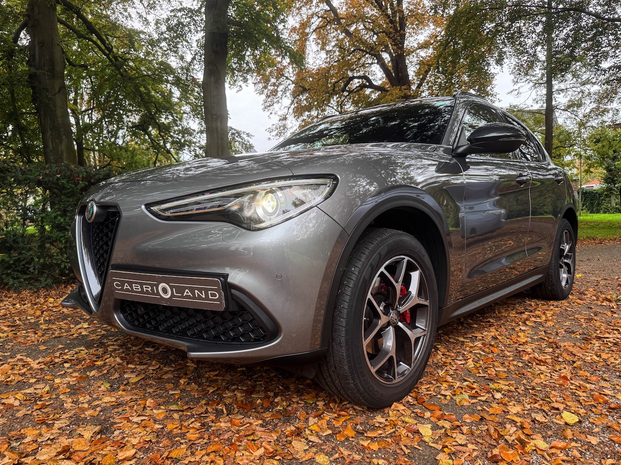 Alfa Romeo Stelvio - 2.0 T AWD 2.0 T AWD, Memory, Adaptieve cruise, Vol leder - AutoWereld.nl