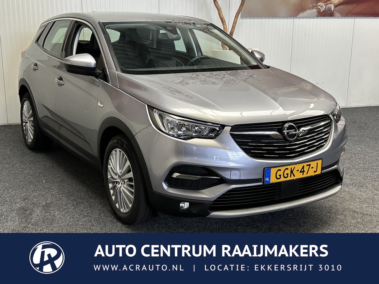 Opel Grandland X - 1.2 Turbo Business Edition 10 op Voorraad NAVIGATIE CRUISE CONTROL APPLE CARPLAY/ANDROID R - AutoWereld.nl