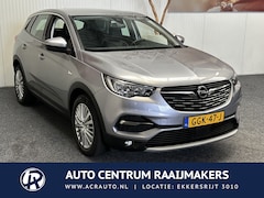 Opel Grandland X - 1.2 Turbo Business Edition 10 op Voorraad NAVIGATIE CRUISE CONTROL APPLE CARPLAY/ANDROID R