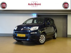 Fiat Panda - 1.2 Edizione Cool