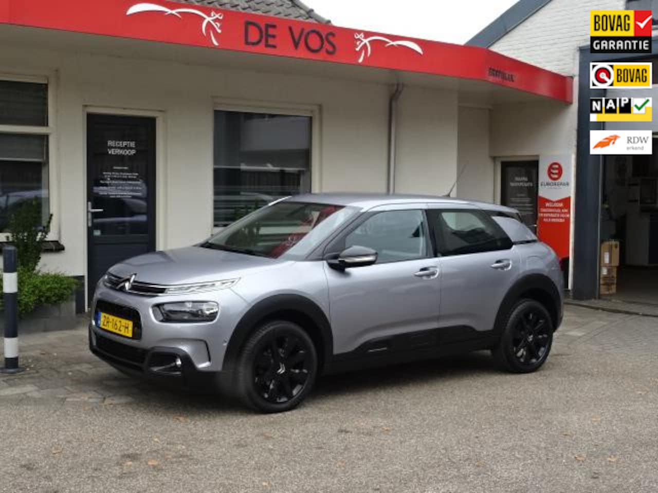 Citroën C4 Cactus - 1.2 PureTech Shine 1.2 PureTech Shine - AutoWereld.nl