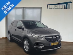 Opel Grandland X - 1.2 Turbo Business Executive*AUTOMAAT*HAAK*CRUISE