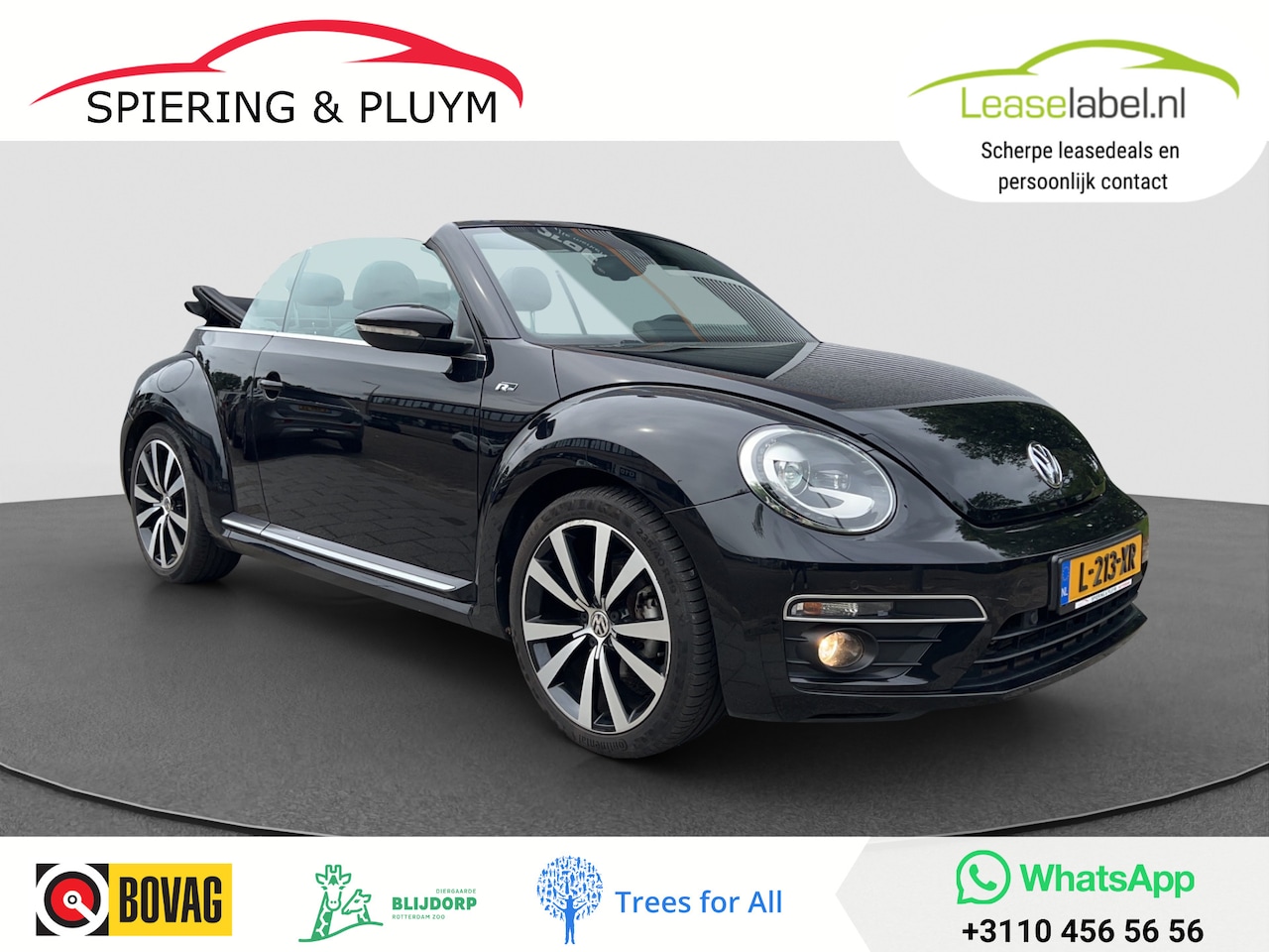 Volkswagen Beetle Cabriolet - 1.4 TSI Sport BlueMotion | R-Line | Leder | camera | Fender! - AutoWereld.nl