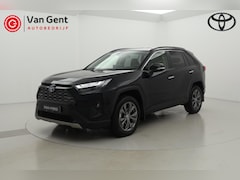 Toyota RAV4 - 2.5 Hybrid AWD Executive Dodehoek