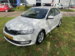 Skoda Rapid - 1.2 TSI Grt Elegance 98 DKM NW APK BJ 2013