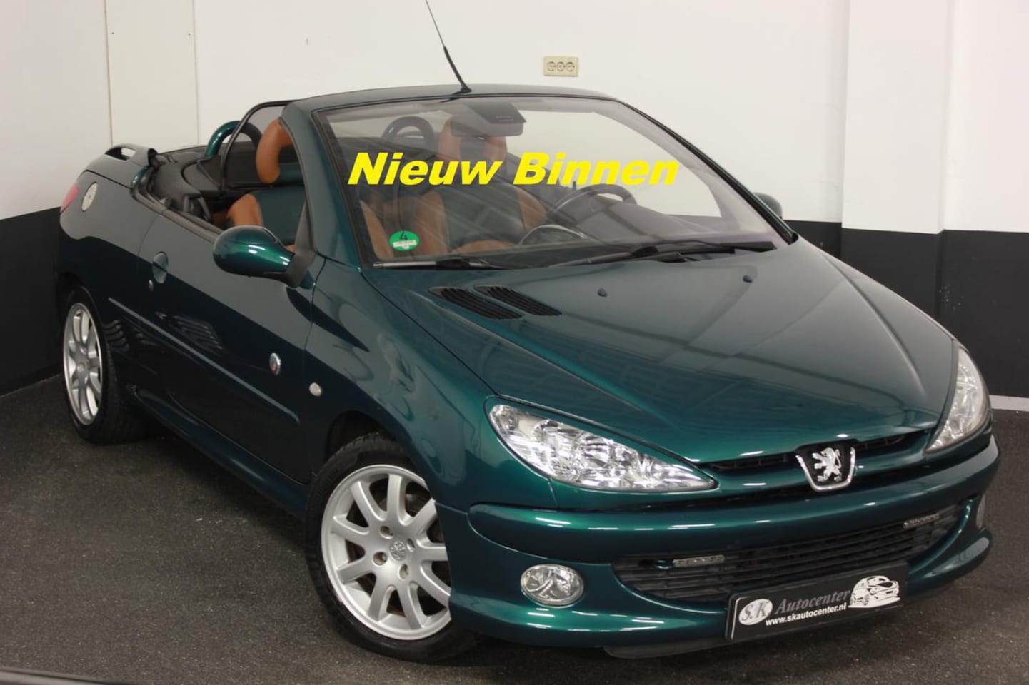 Peugeot 206 - 1.6*CABRIO ROLAND GARROS 1E EIGENAAR GEWELDIG - AutoWereld.nl