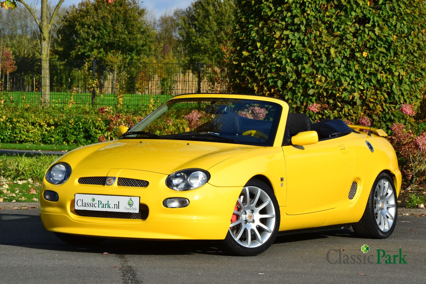 MG F - MGF Trophy 160 (41/55 - NL) - AutoWereld.nl