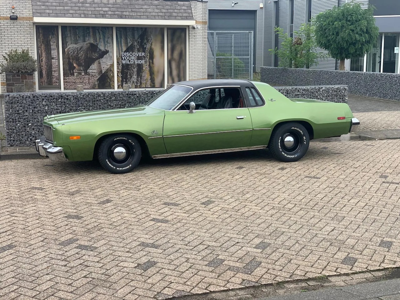 Plymouth Gran Fury - Sport 1976 Roadrunner V8 - AutoWereld.nl