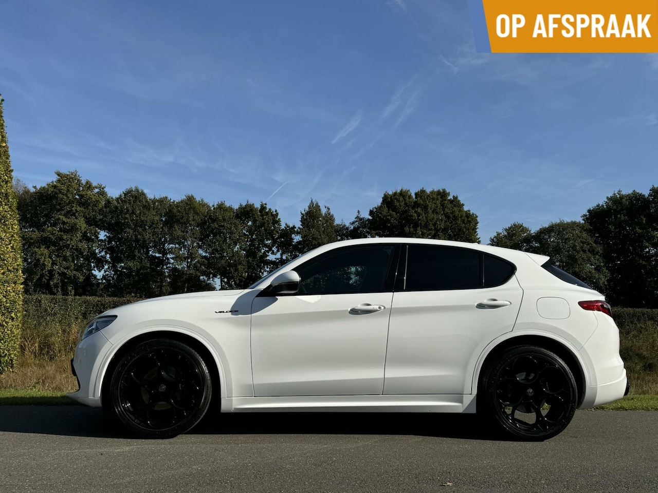 Alfa Romeo Stelvio - 2.0t Q4 Veloce 280pk, 64dkm, 21inch!! - AutoWereld.nl