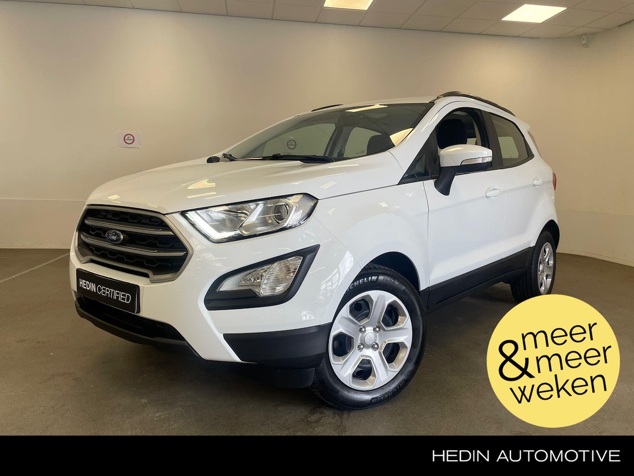 Ford EcoSport - 1.0 EcoBoost Trend Ultimate | achteruitrij camera - AutoWereld.nl