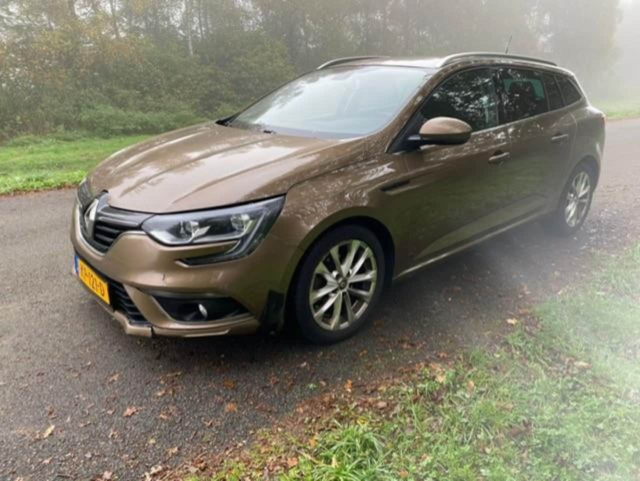 Renault Mégane Estate - 1.5 dCi Zen / BTW / Automaat! - AutoWereld.nl