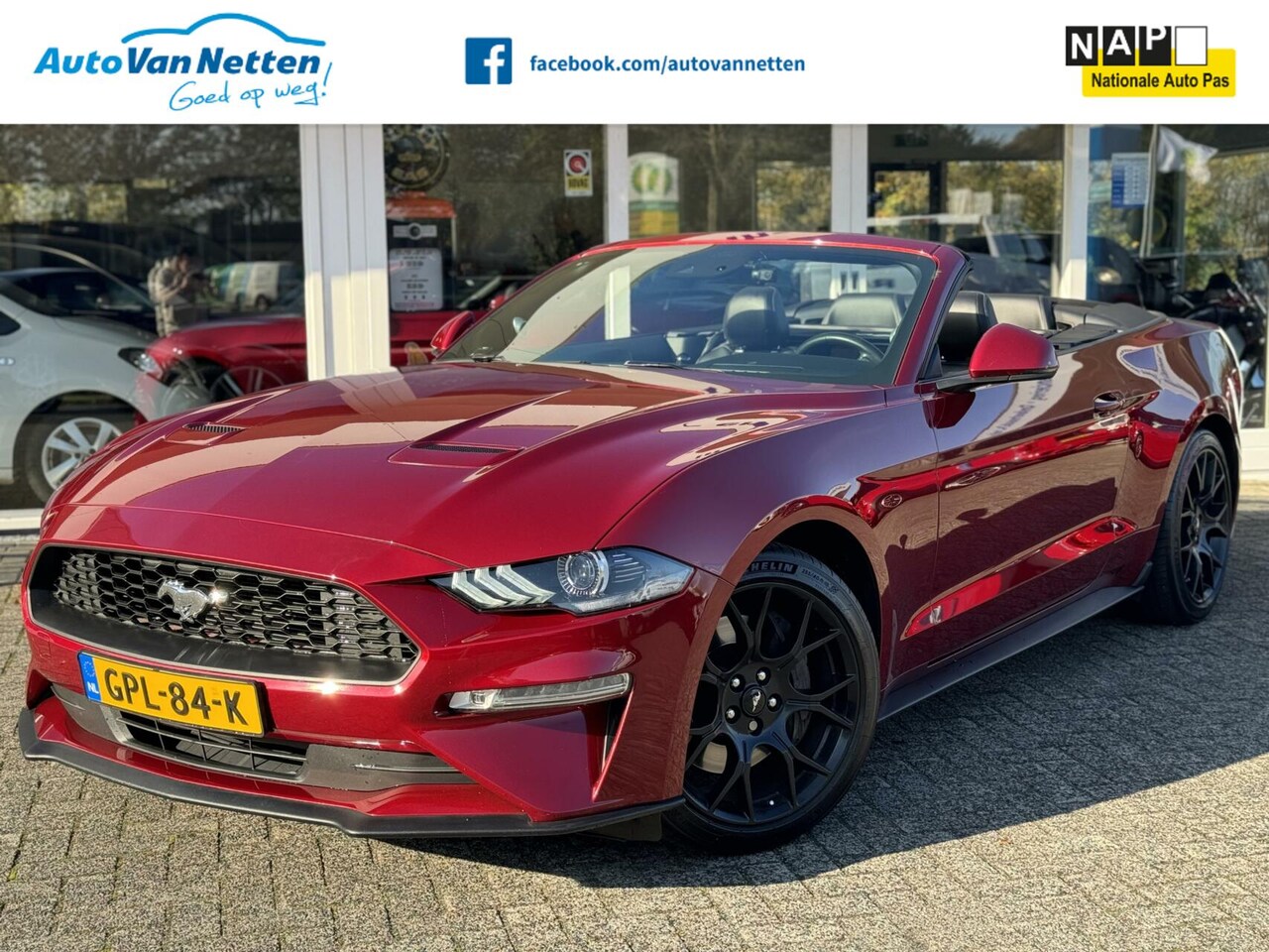 Ford Mustang Convertible - 2.3 EcoBoost 290pk 6bak,Digi Dash,Xenon,Clima,19"lmv,Windscherm,50TH Anniversary Edition - AutoWereld.nl