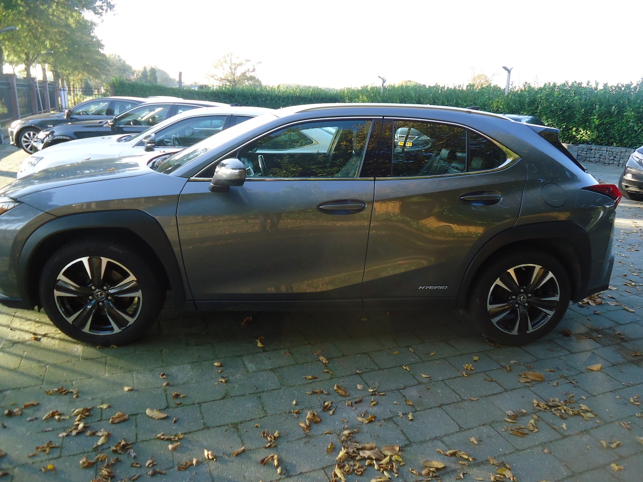 Lexus UX - 250h Comfort Line fonkelnieuwe auto , net 2 jaar oud