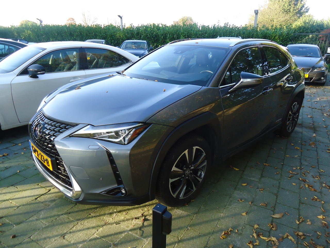 Lexus UX - 250h Comfort Line fonkelnieuwe auto , net 2 jaar oud