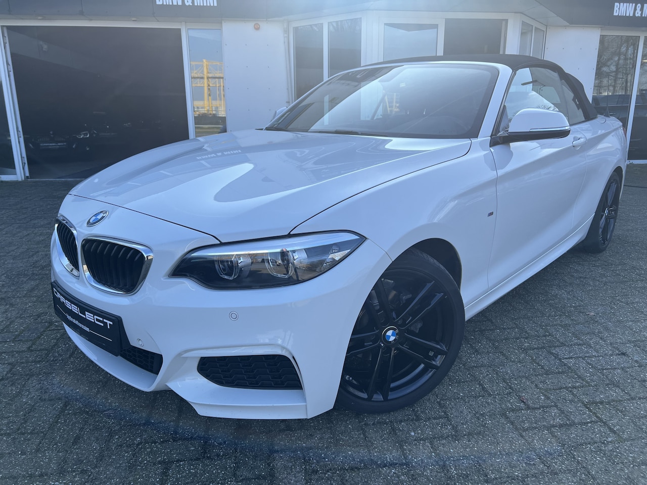 BMW 2-serie Cabrio - 218i High Executive M Sport Pakket, Leder, 18"LMV, Navigatie, Windscherm .Neem contact op - AutoWereld.nl