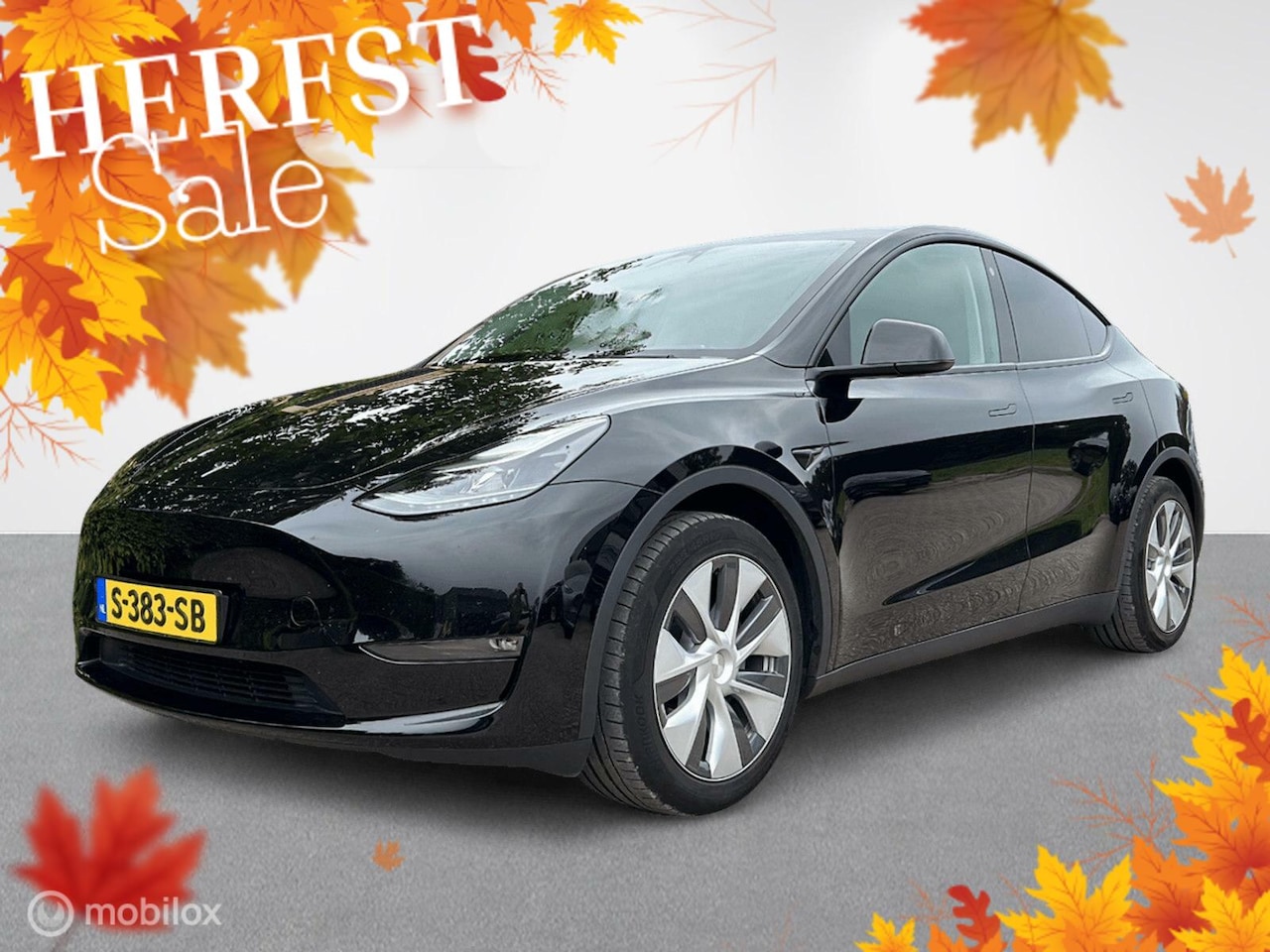 Tesla Model Y - Long Range Dual Motor - AutoWereld.nl