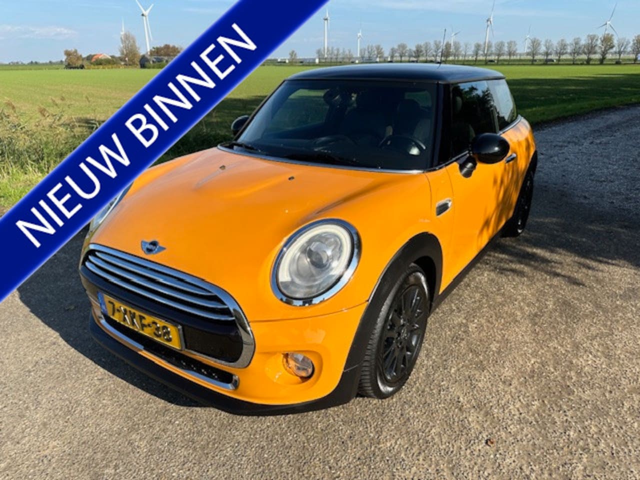 MINI Cooper - Mini 1.5 First Born Edition Leer Navigatie PDC Enz - AutoWereld.nl