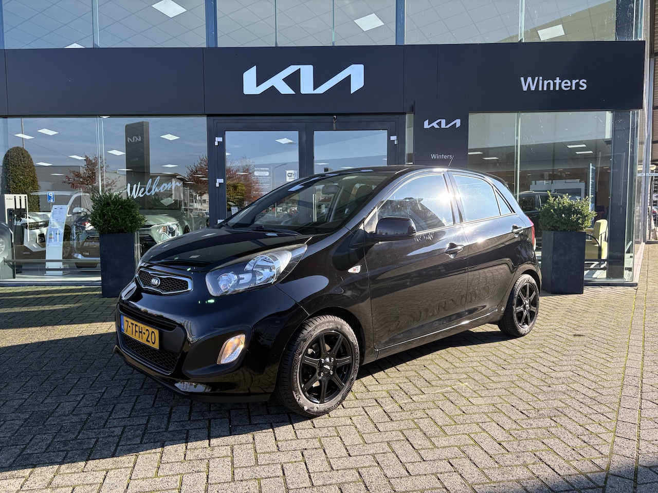 Kia Picanto - 1.0 CVVT ISG Comfort Pack 14" LMV All-season Airco Elek. ramen ESP - AutoWereld.nl