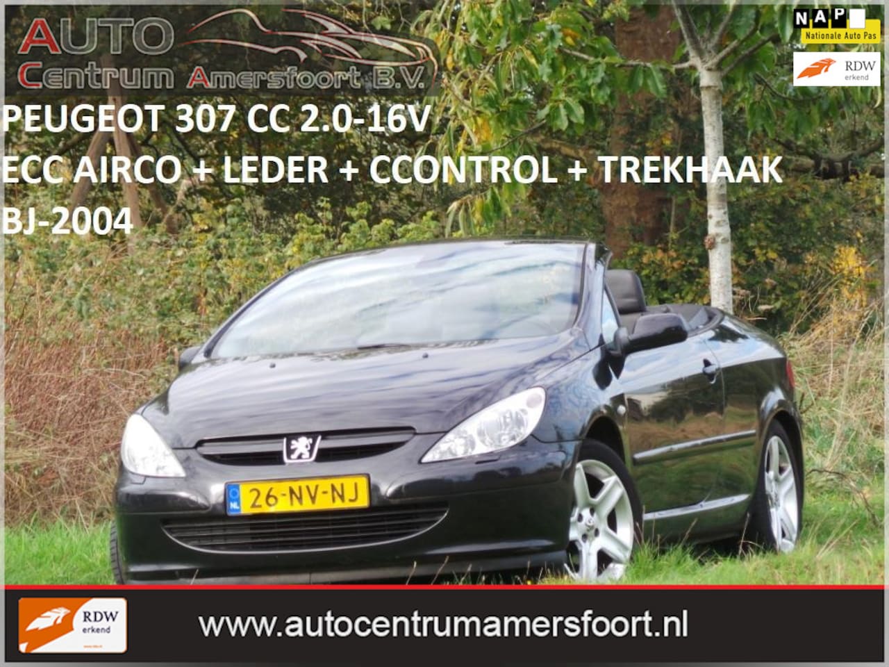 Peugeot 307 CC - 2.0-16V 2.0-16V ( INRUIL MOGELIJK ) - AutoWereld.nl