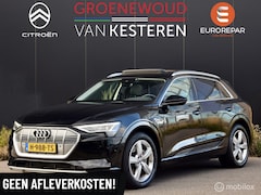 Audi e-tron - 50 quattro Launch edition Black 71 kWh I Panodak