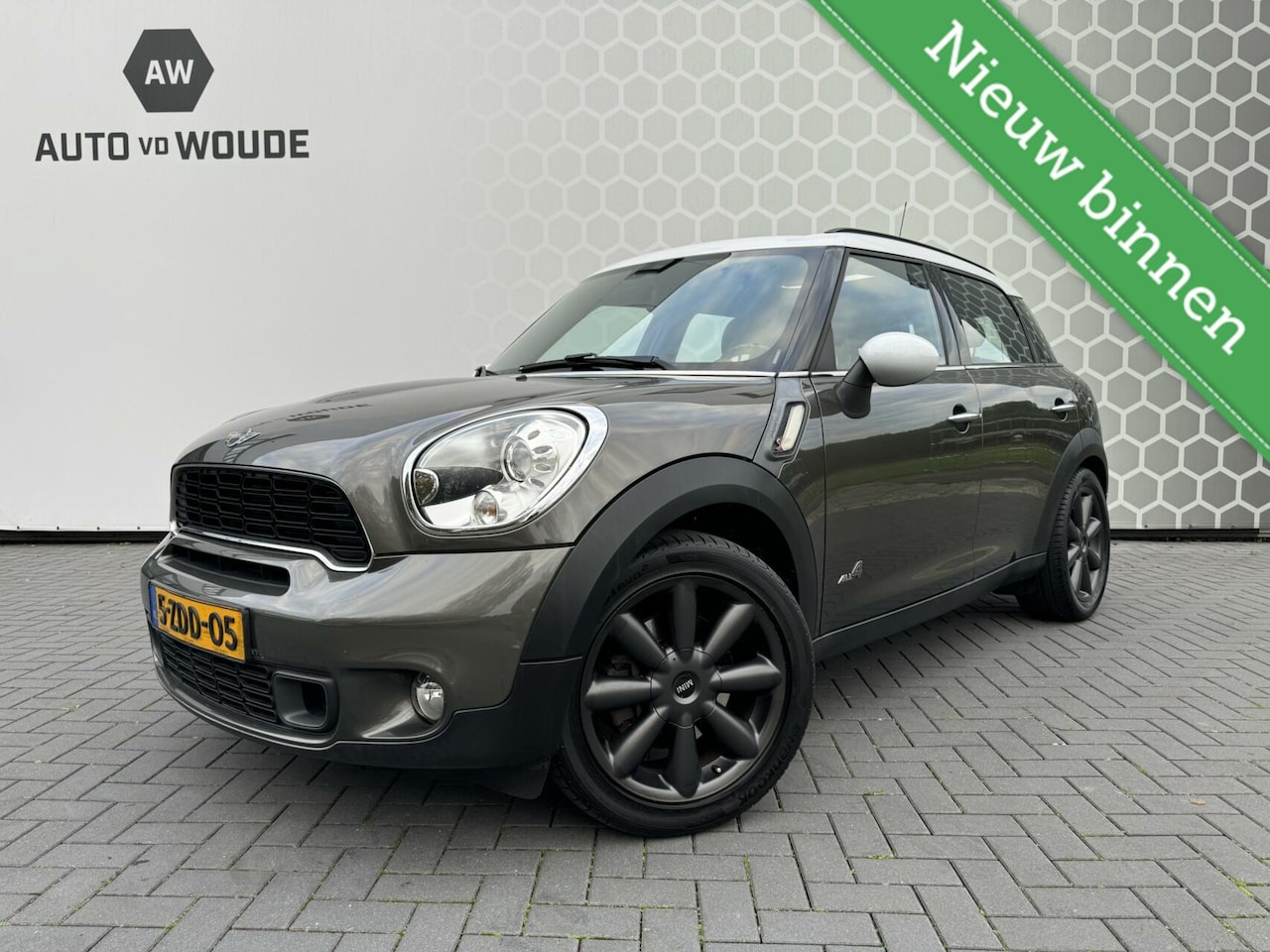 MINI Countryman - 1.6 Cooper S ALL4 PANO Leer Xenon 4WD 180 pk - AutoWereld.nl