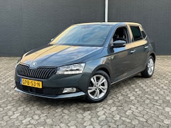 Skoda Fabia - 1.0 TSI 95pk Online Edition, Apple Carplay