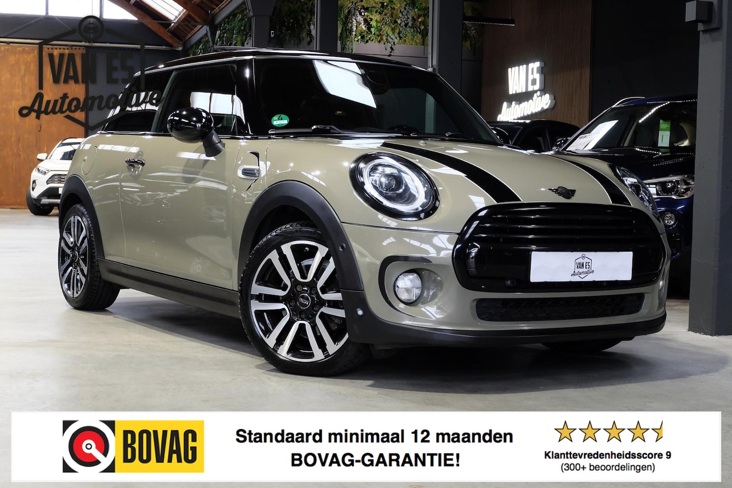 MINI Cooper - Mini 1.5 Chili / Pano / CarPlay / Leder / JCW stuurwiel - AutoWereld.nl