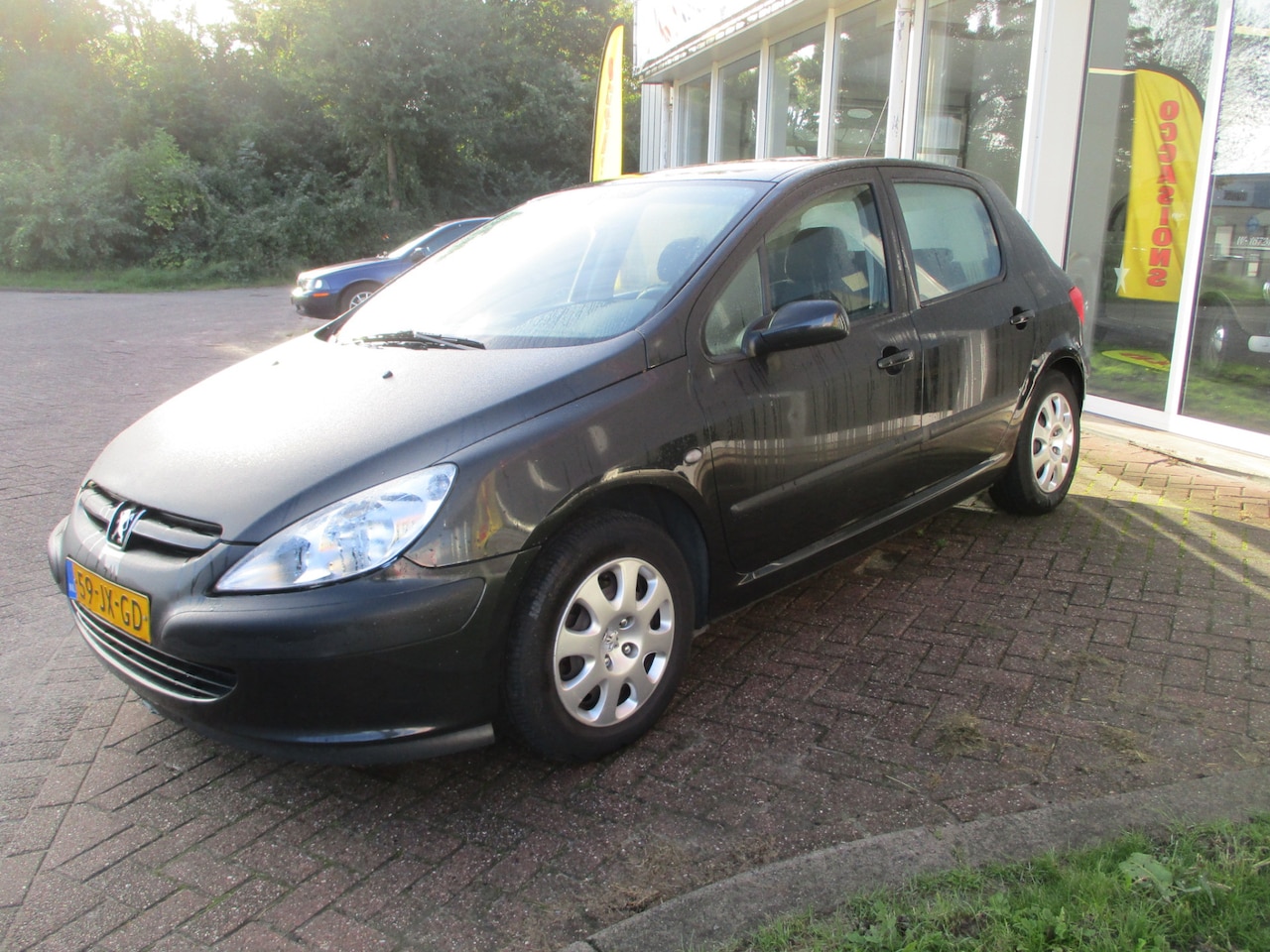 Peugeot 307 - 1.6-16V XS 5 deurs! - AutoWereld.nl