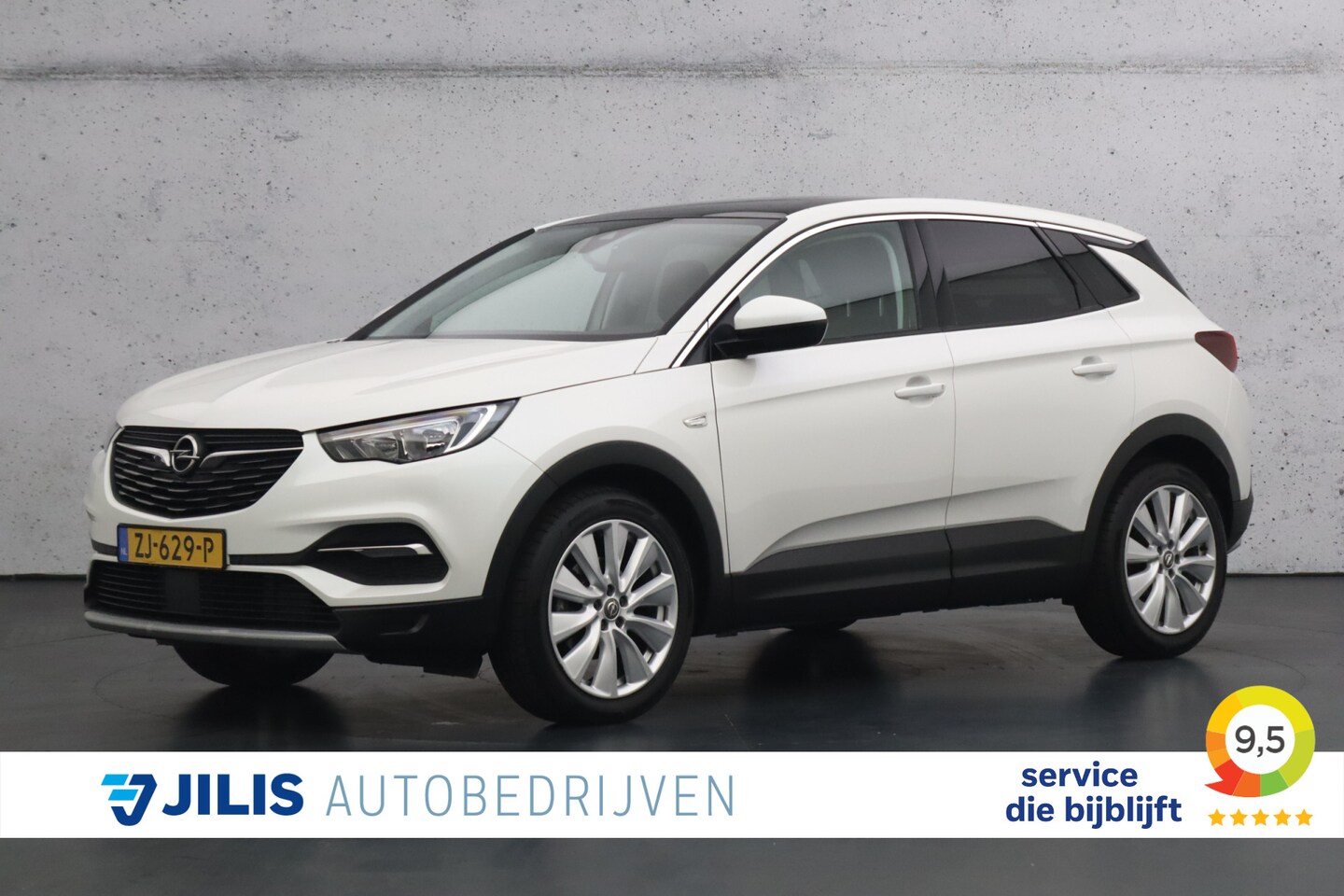 Opel Grandland X - 1.2 Turbo Business Executive | Parkeersensoren | Panoramadak | Cruise control | Apple carp - AutoWereld.nl