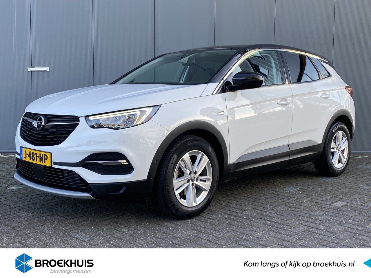 Opel Grandland X - 1.2 Turbo 130pk Business Executive | Leder | Carplay | Camera | Climate | Keyless | Naviga - AutoWereld.nl