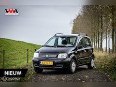 Fiat Panda - 1.2 Dynamic | Airco | Nap | Bluetooth | Export