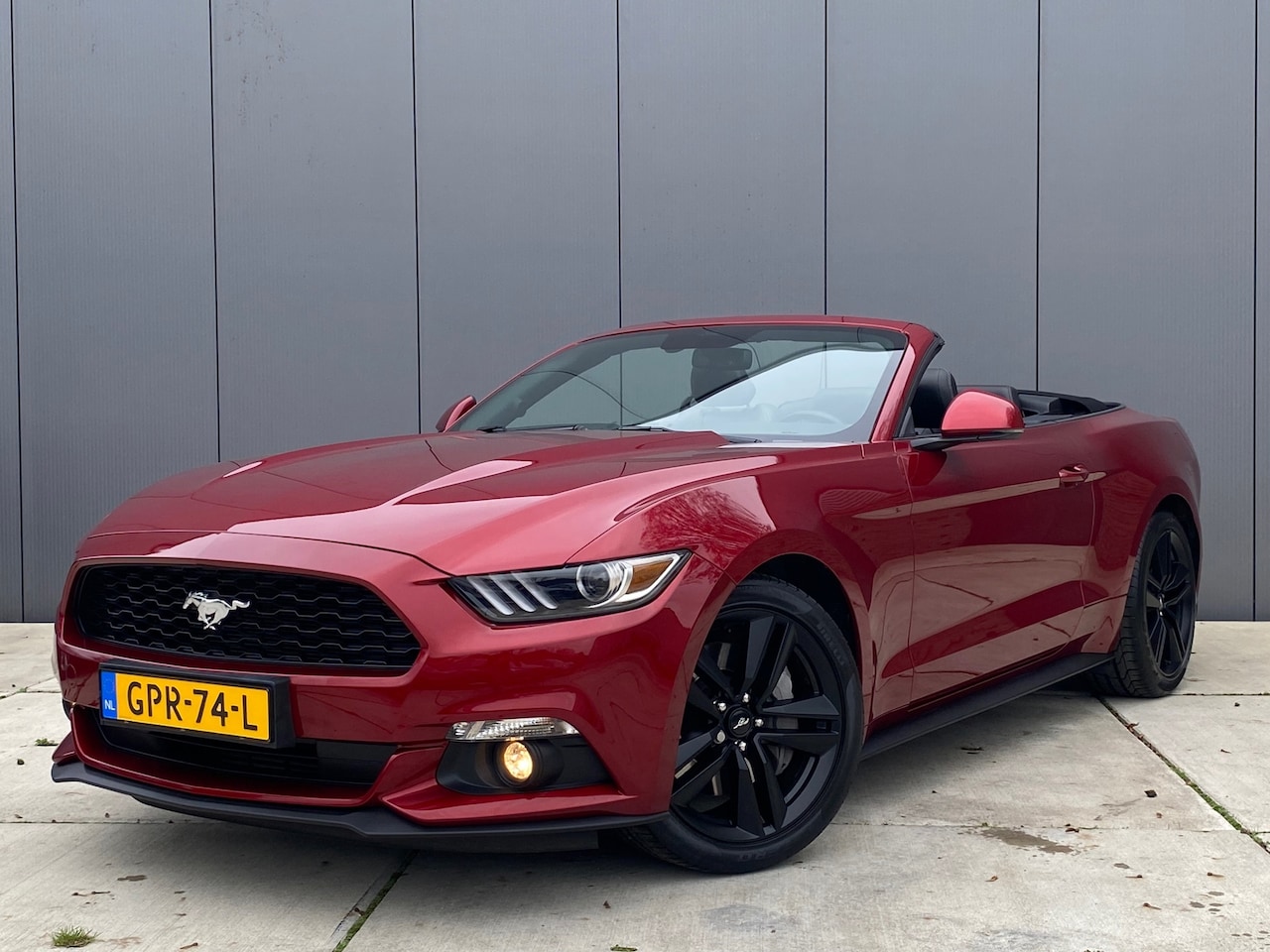 Ford Mustang Convertible - 2.3 EcoBoost GT / Stoelkoeling / Leder / Cabriolet - AutoWereld.nl