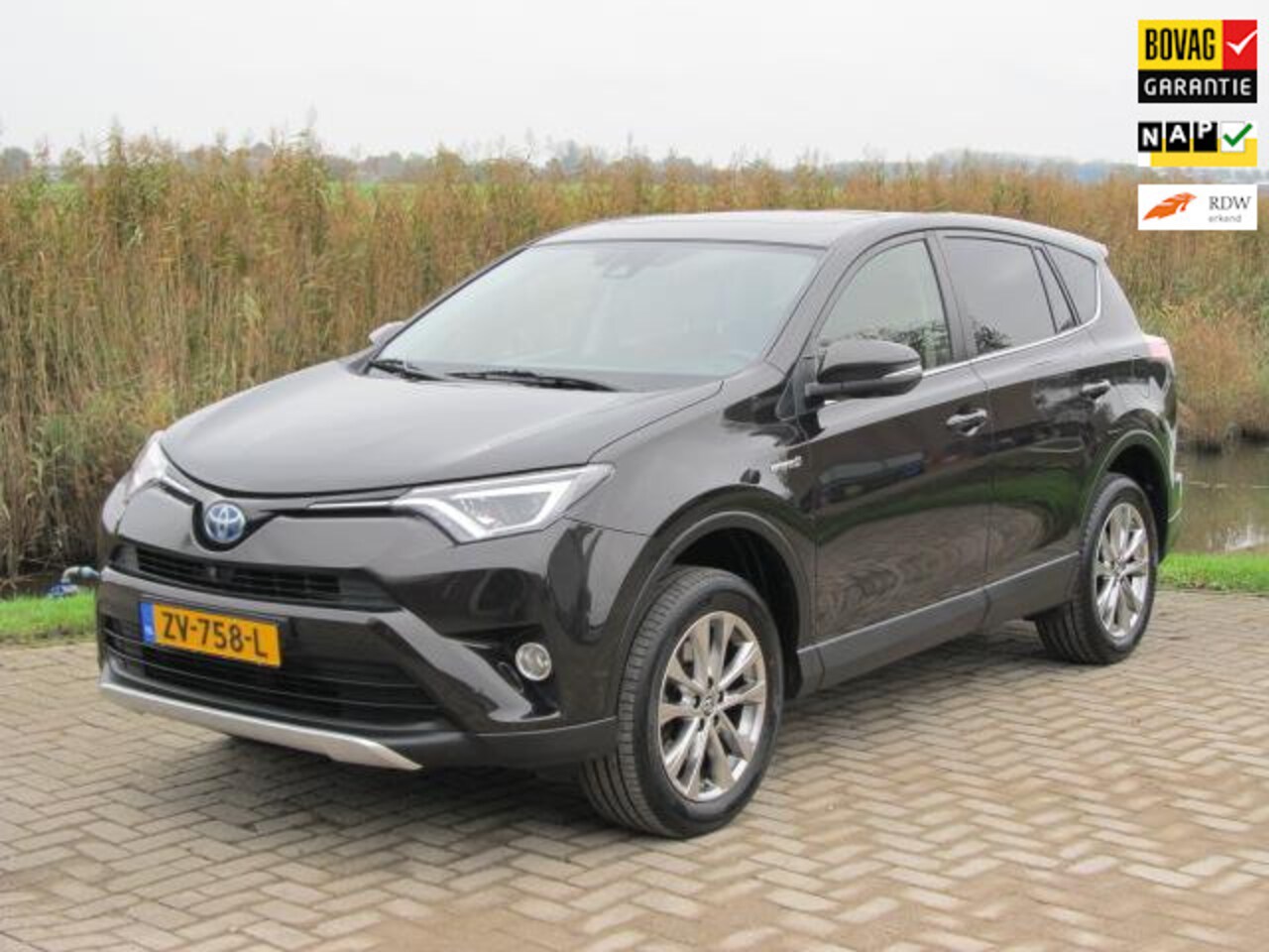 Toyota RAV4 - 2.5 Hybrid Executive Business 2.5 Hybrid Executive Business - AutoWereld.nl