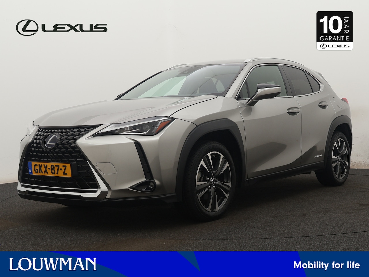 Lexus UX - 250h Business Line Limited | Navigatie | Climate Control | 18" lichtmetalen velgen | Achte - AutoWereld.nl