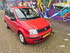 Fiat Panda - 1.1 Active goed onderhouden rijd perfect distributie vervangen banden zgan leuke auto