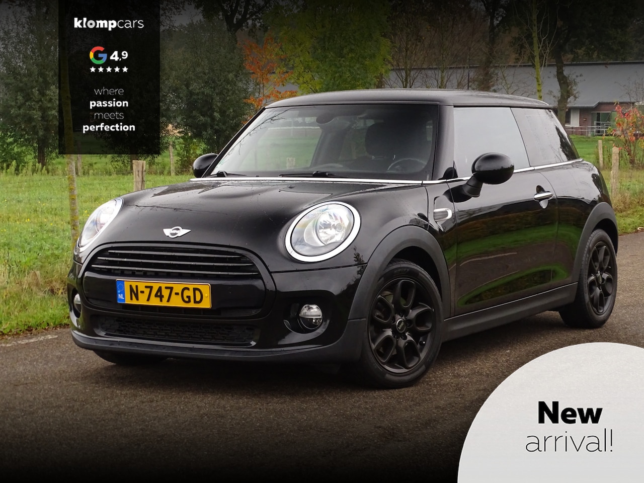 MINI Cooper - Mini 1.5 All Black | Leer | 16" | Stoelverw. - AutoWereld.nl