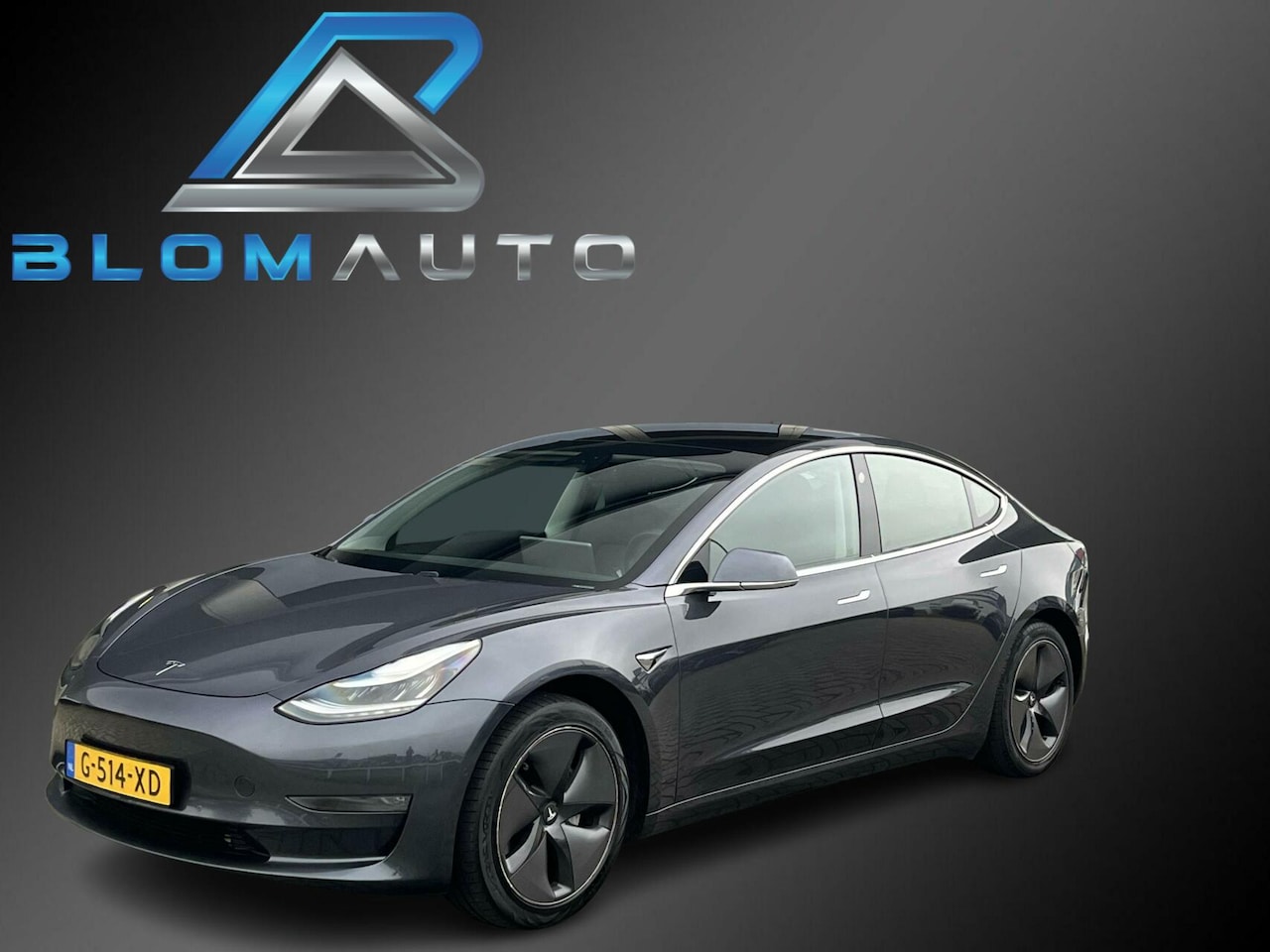 Tesla Model 3 - Long Range RWD Long Range AWD 358PK € 16.016 EX BTW AUTOPILOT - AutoWereld.nl