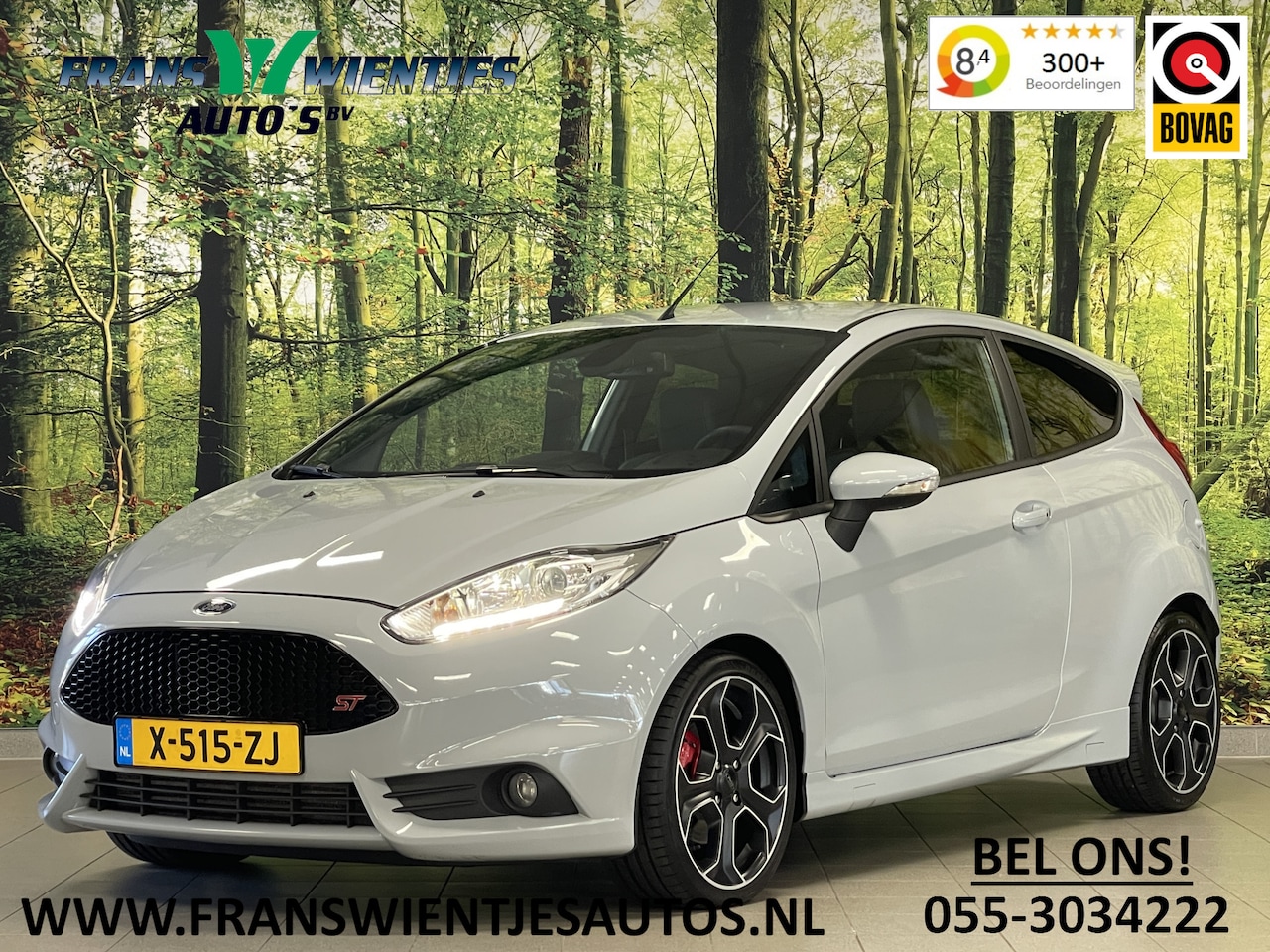 Ford Fiesta - 1.6 ST200 | 200 PK! | Recaro | Bluetooth | Achteruitrijcamera | Keyless GO | Navigatie | C - AutoWereld.nl