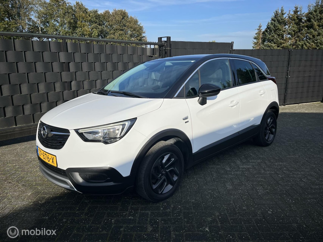 Opel Crossland X - 1.2 Turbo 120 Jaar Edition 1.2 Turbo 120 Jaar Edition - AutoWereld.nl