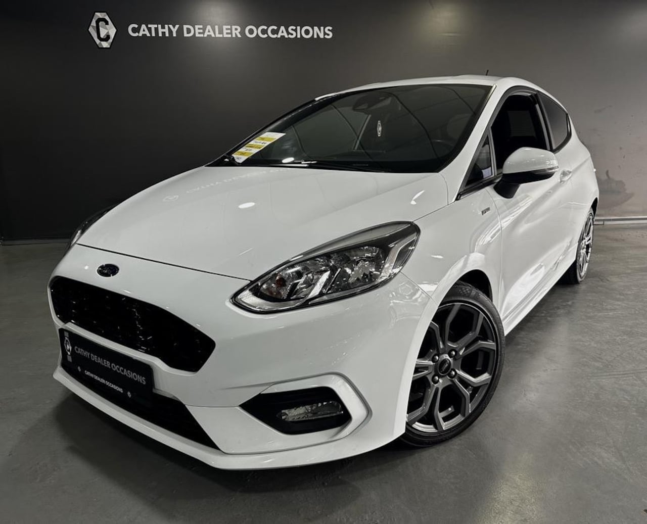 Ford Fiesta - 1.0 EcoBoost ST-Line 140PK NAV Bluetooth DAB 17" LMV Stoelverwarming - AutoWereld.nl